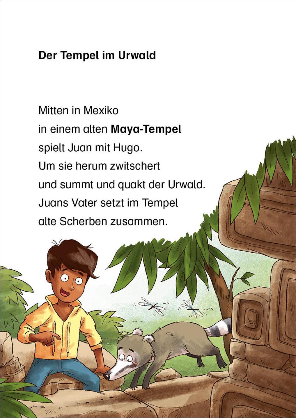 Bild: 9783743208049 | Leselöwen 2. Klasse - Abenteuer im Maya-Tempel | Anni Möwenthal | Buch