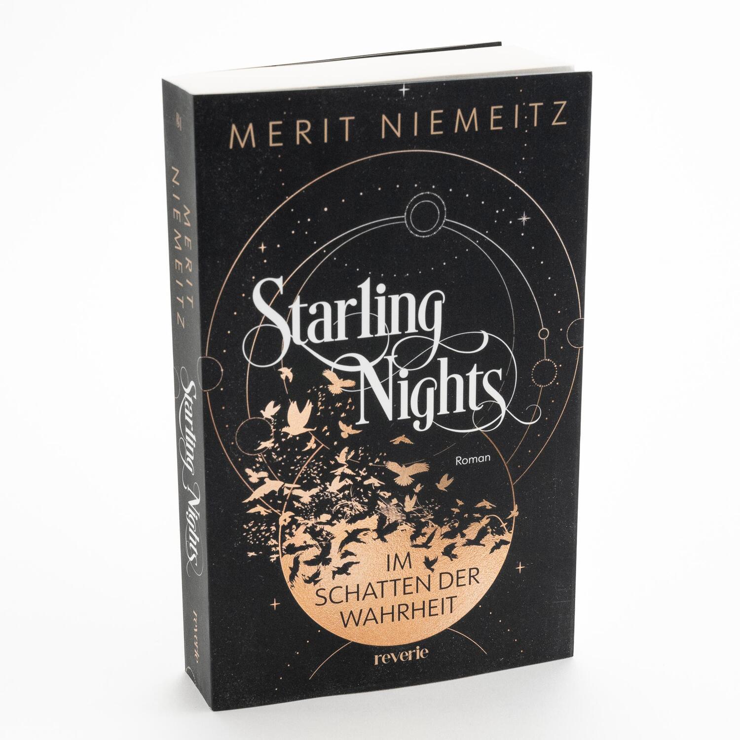 Bild: 9783745704082 | Starling Nights 1 | Im Schatten der Wahrheit | Merit Niemeitz | Buch