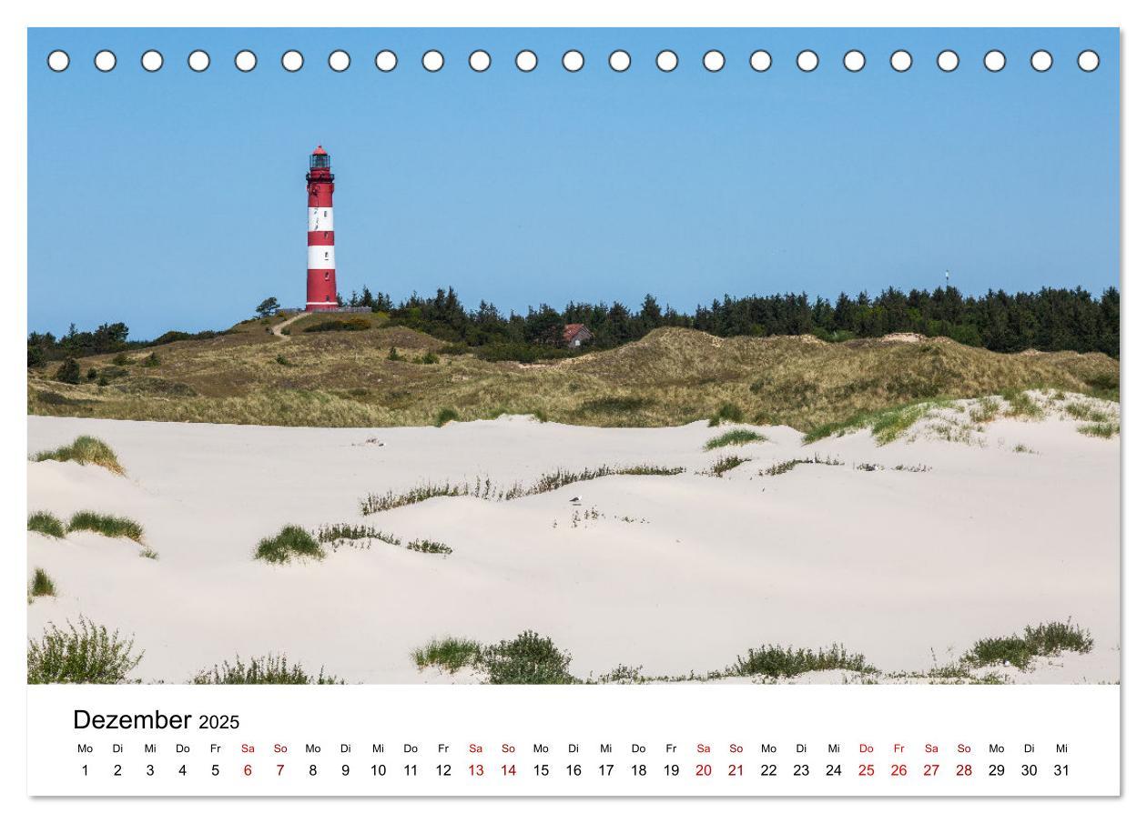 Bild: 9783383896651 | Amrum - Das Paradies in der Nordsee (Tischkalender 2025 DIN A5...