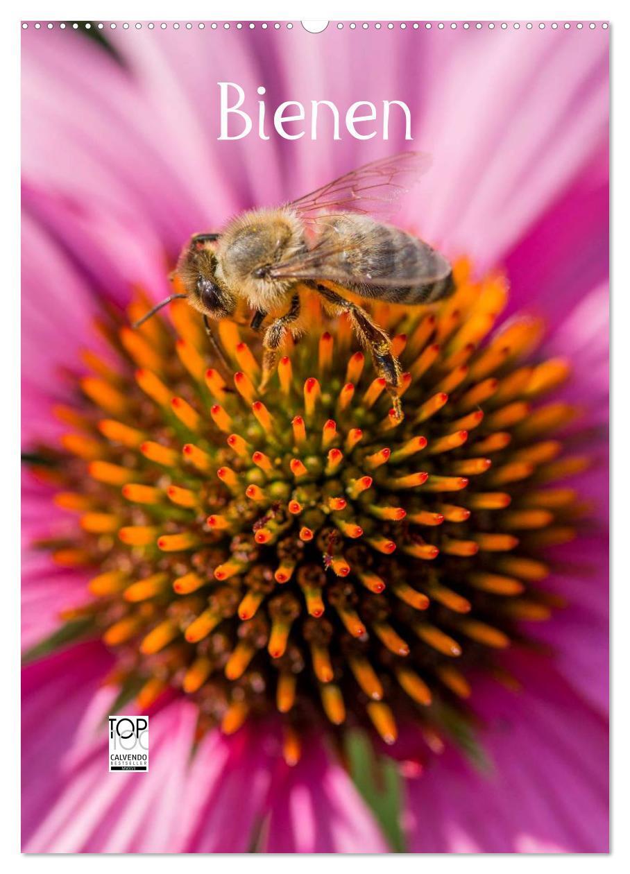 Cover: 9783457052204 | Bienenkalender (Wandkalender 2025 DIN A2 hoch), CALVENDO...