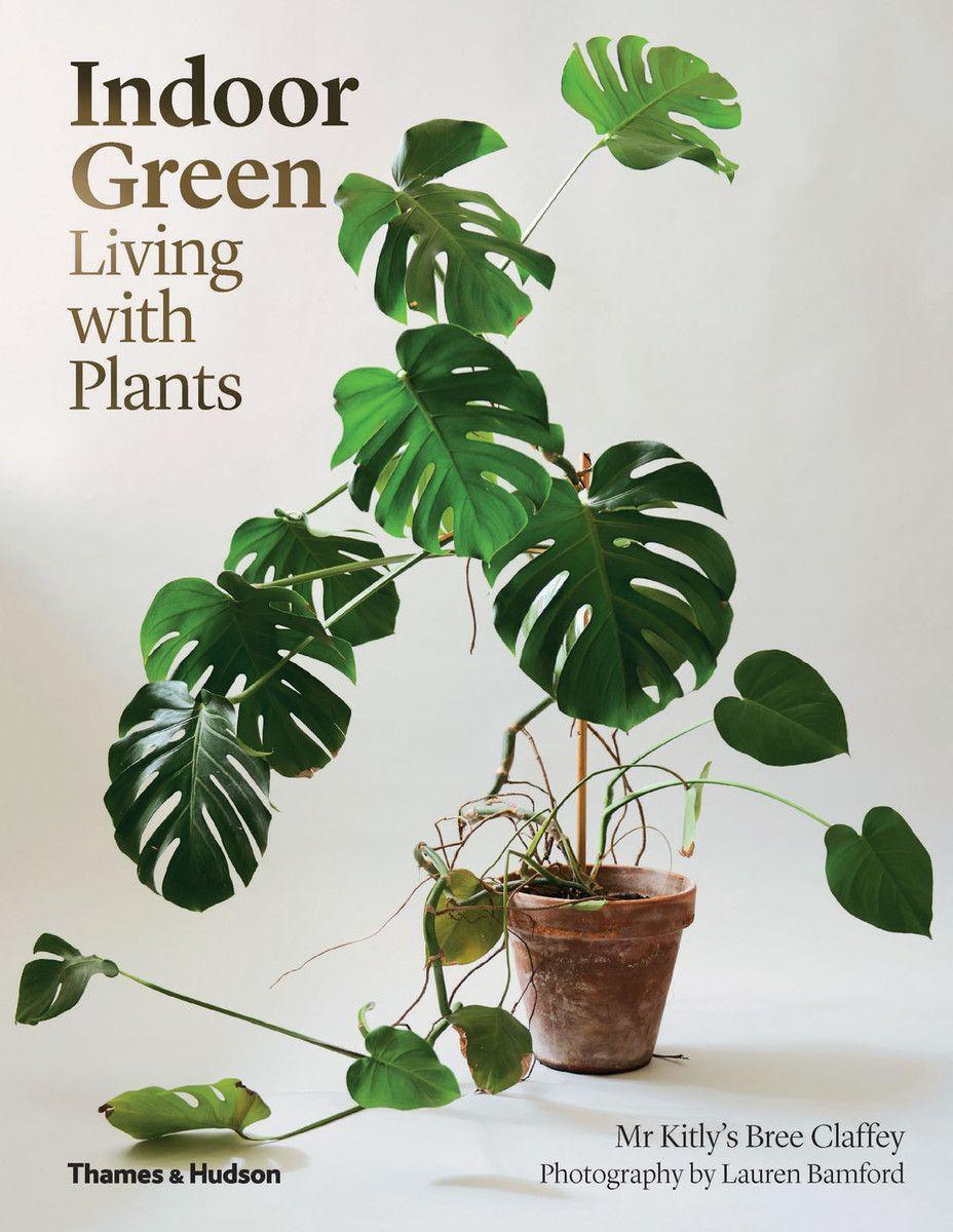 Cover: 9780500501061 | Indoor Green: Living with Plants | Bree Claffey | Taschenbuch | 2020