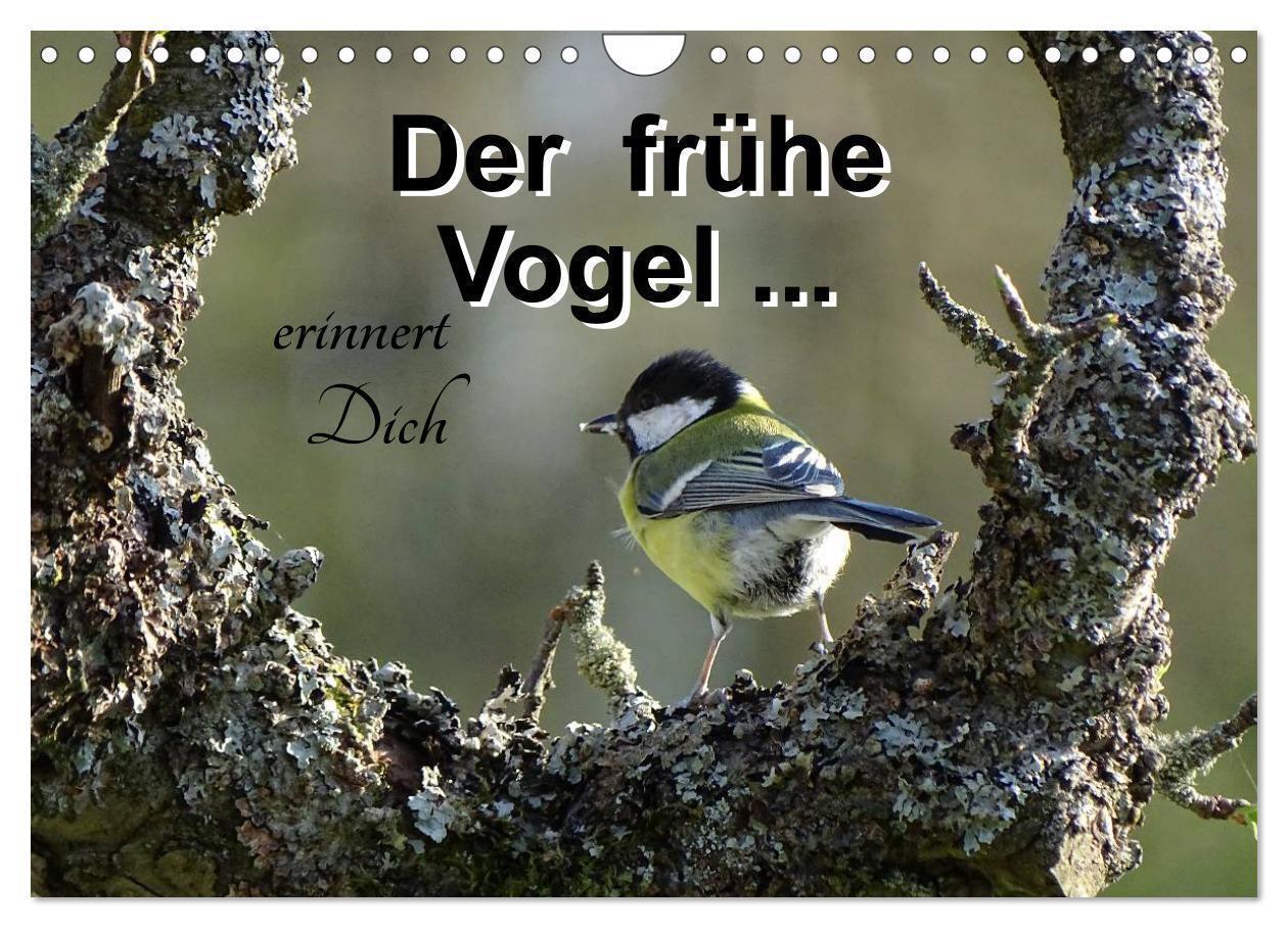 Cover: 9783383400780 | Der frühe Vogel ... erinnert Dich (Wandkalender 2024 DIN A4 quer),...