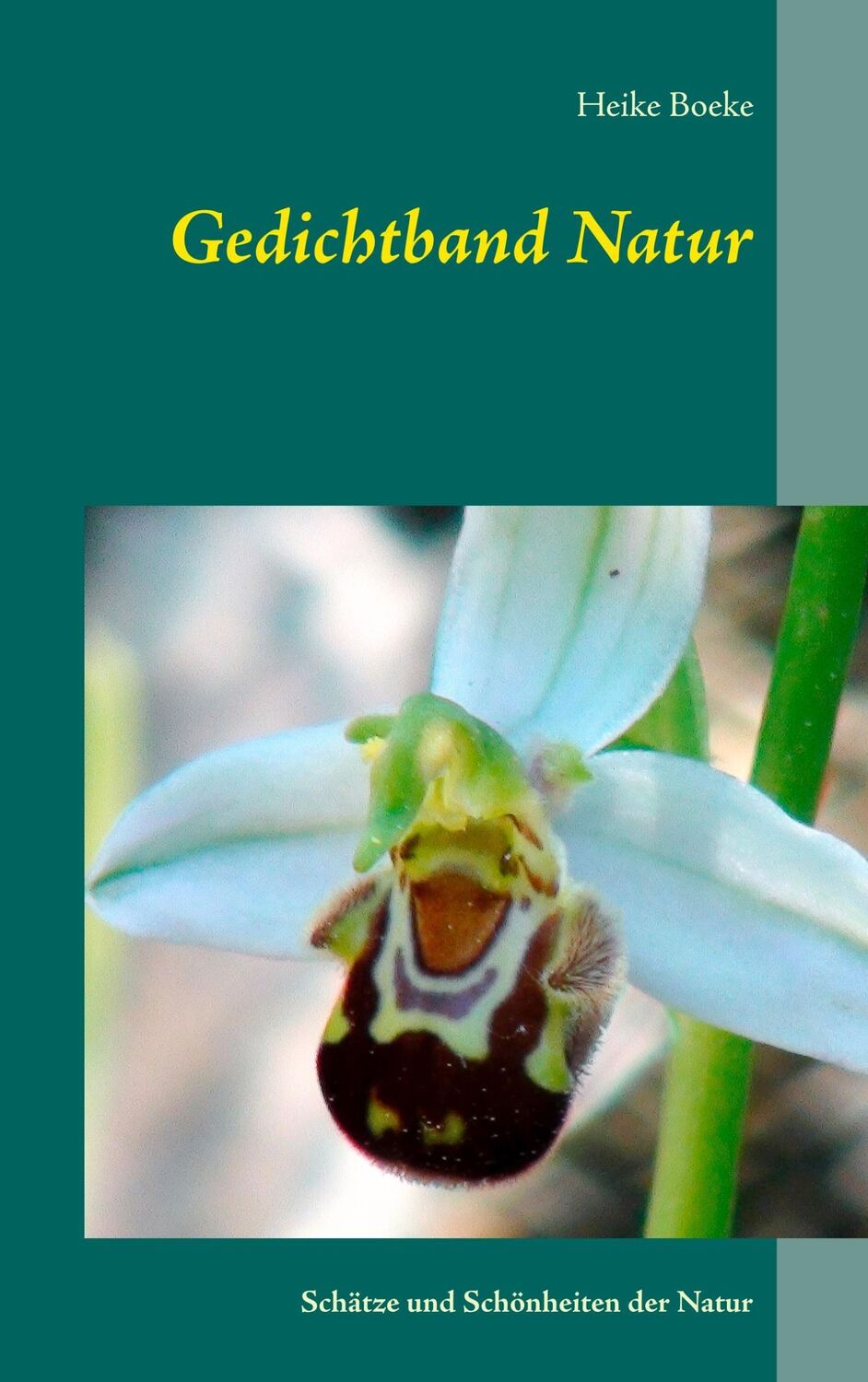 Cover: 9783746016870 | Gedichtband Natur | Schätze und Schönheiten der Natur | Heike Boeke