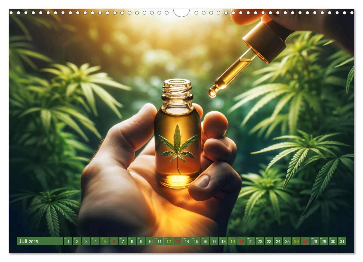 Bild: 9783435696123 | Faszination Cannabis (Wandkalender 2025 DIN A3 quer), CALVENDO...