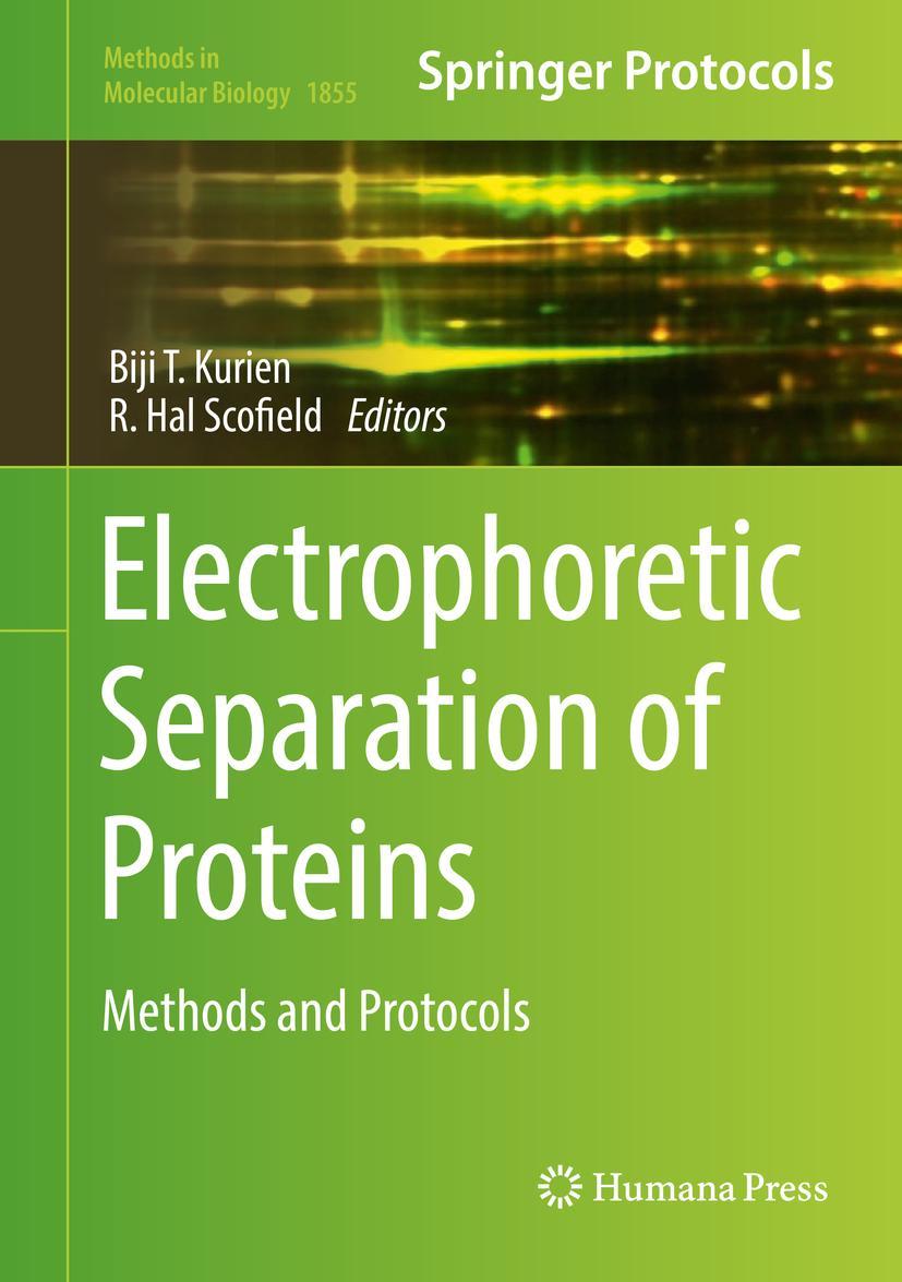 Cover: 9781493987924 | Electrophoretic Separation of Proteins | Methods and Protocols | Buch