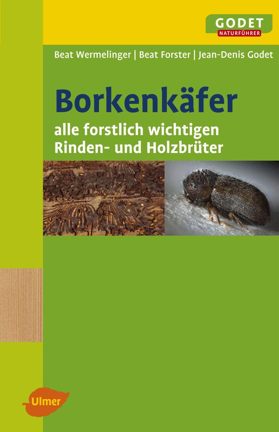 Cover: 9783800155712 | Borkenkäfer | Alle forstlich wichtigen Rinden- und Holzbrüter | Buch