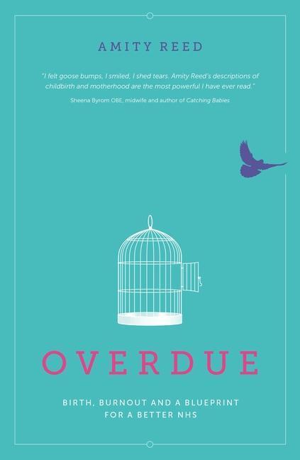Cover: 9781780664101 | Overdue | Birth, burnout and a blueprint for a better NHS | Amity Reed