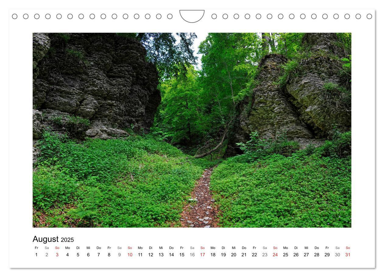 Bild: 9783435156207 | Impressionen aus Ostwestfalen-Lippe (Wandkalender 2025 DIN A4...