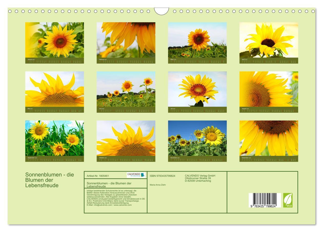 Bild: 9783435799824 | Sonnenblumen - die Blumen der Lebensfreude (Wandkalender 2025 DIN...