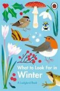 Cover: 9780241416228 | What to Look For in Winter | Elizabeth Jenner | Buch | A Ladybird Book