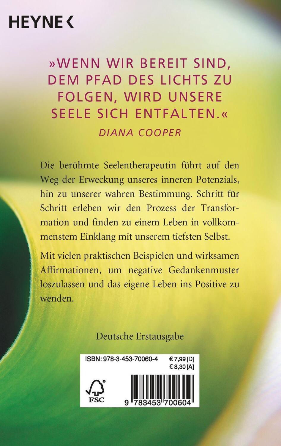 Bild: 9783453700604 | Begegne deiner Seele | Diana Cooper | Taschenbuch | Deutsch | 2007