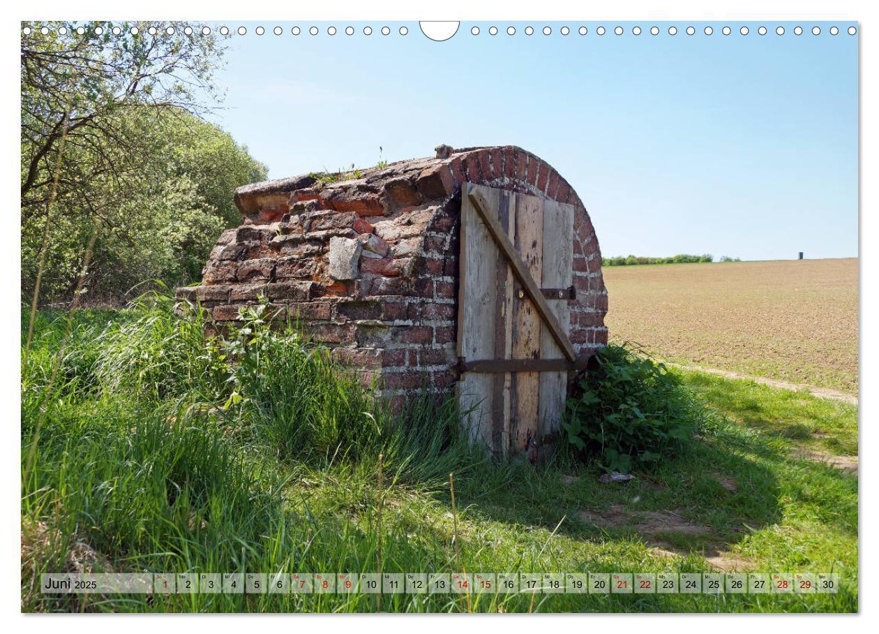 Bild: 9783435385546 | Der Hainich in Thüringen - Weltnaturerbe (Wandkalender 2025 DIN A3...