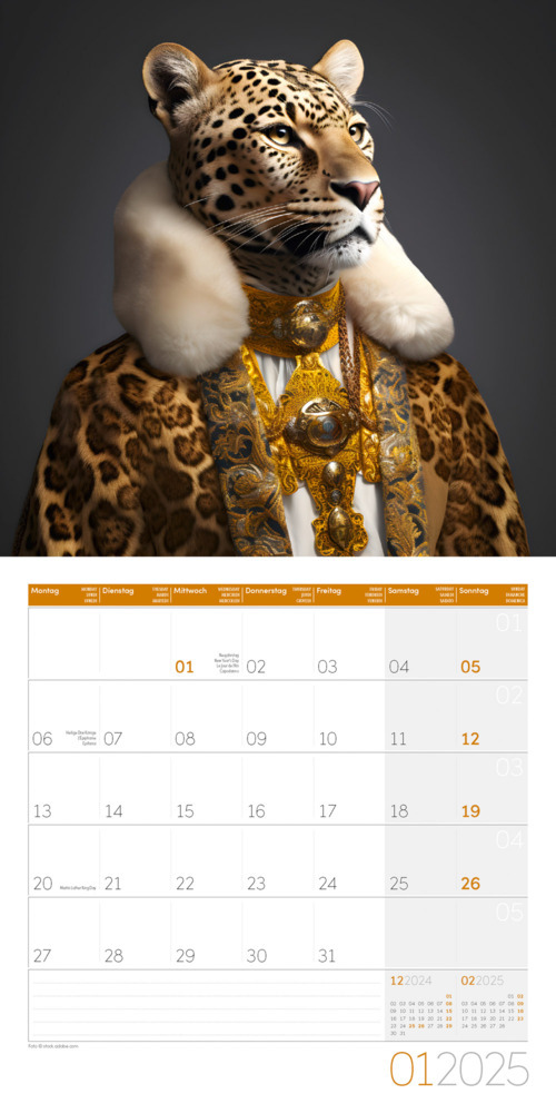 Bild: 9783838445069 | Animal Kingdom Kalender 2025 - 30x30 | Ackermann Kunstverlag | 28 S.