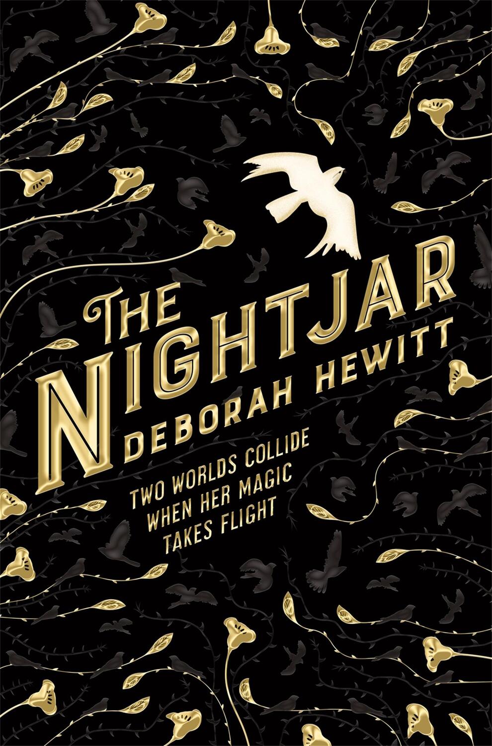 Cover: 9781509896462 | The Nightjar | Deborah Hewitt | Taschenbuch | The Nightjar | Englisch