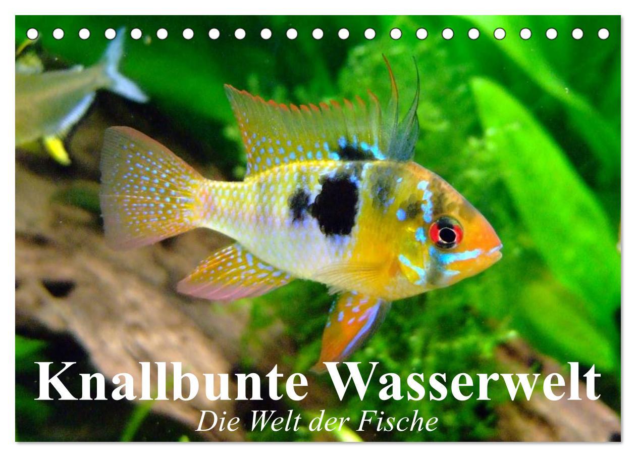 Cover: 9783435589456 | Knallbunte Wasserwelt. Die Welt der Fische (Tischkalender 2025 DIN...