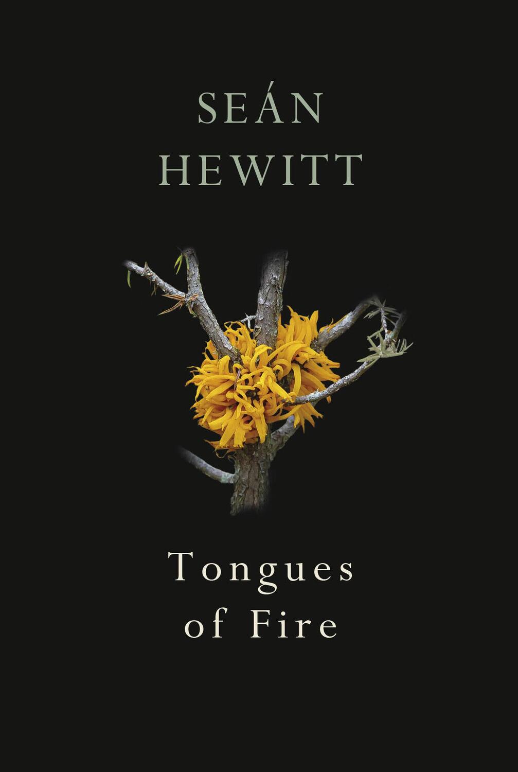 Cover: 9781787332263 | Tongues of Fire | Sean Hewitt | Taschenbuch | Kartoniert / Broschiert