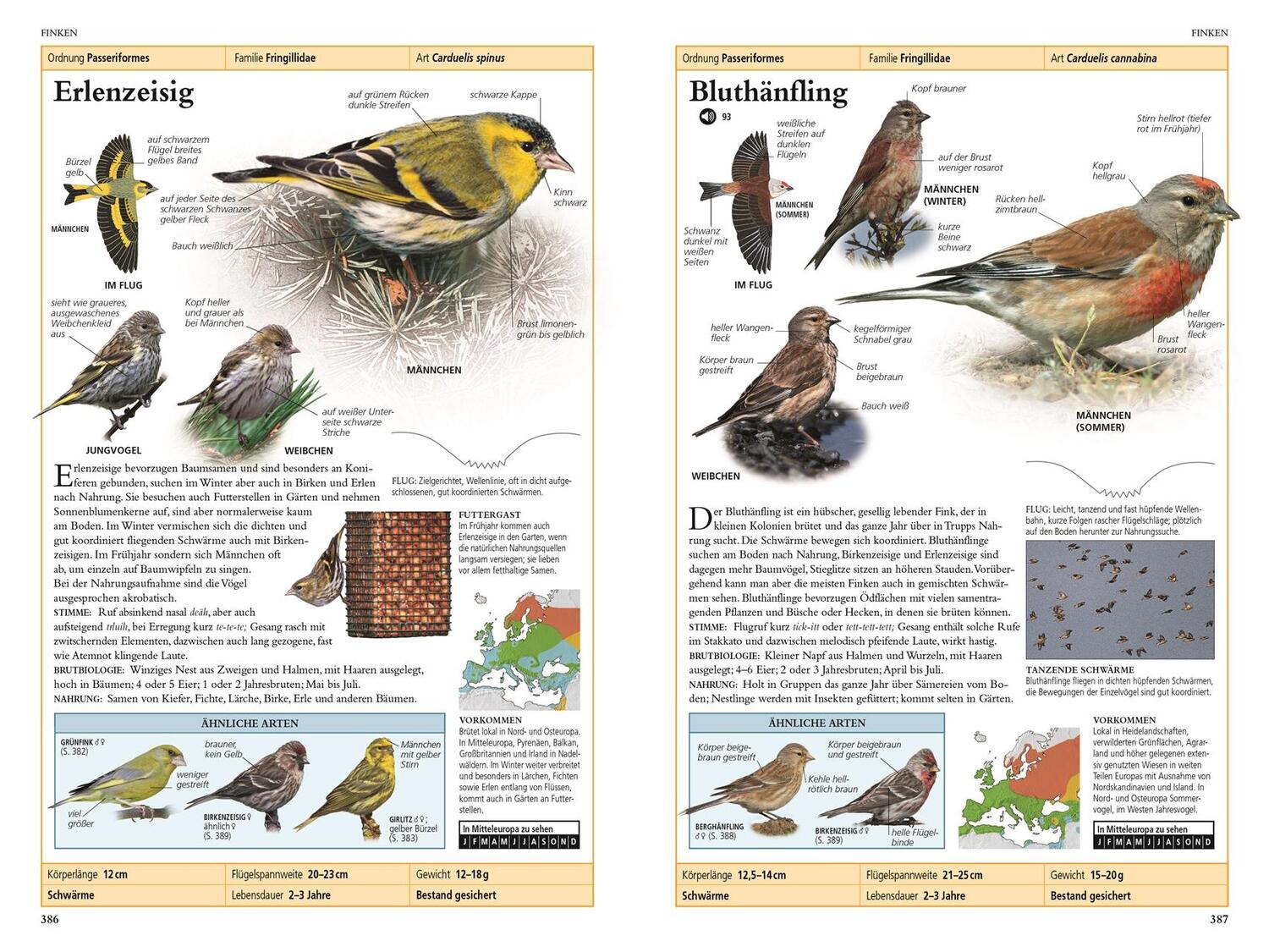 Bild: 9783831039050 | Vögel in Europa | Rob Hume | Taschenbuch | 480 S. | Deutsch | 2020