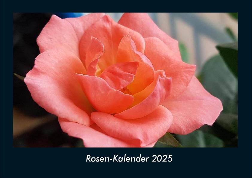 Cover: 9783755981671 | Rosen-Kalender 2025 Fotokalender DIN A4 | Tobias Becker | Kalender