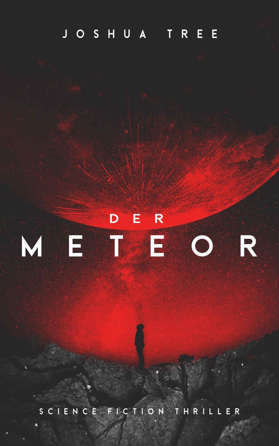 Cover: 9783963571275 | Der Meteor | Science Fiction Thriller | Joshua Tree | Taschenbuch