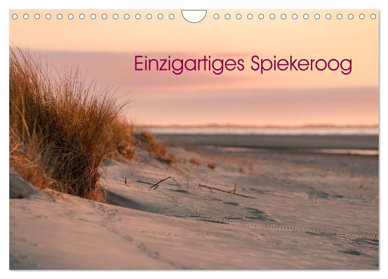 Cover: 9783383158803 | Einzigartiges Spiekeroog (Wandkalender 2024 DIN A4 quer), CALVENDO...