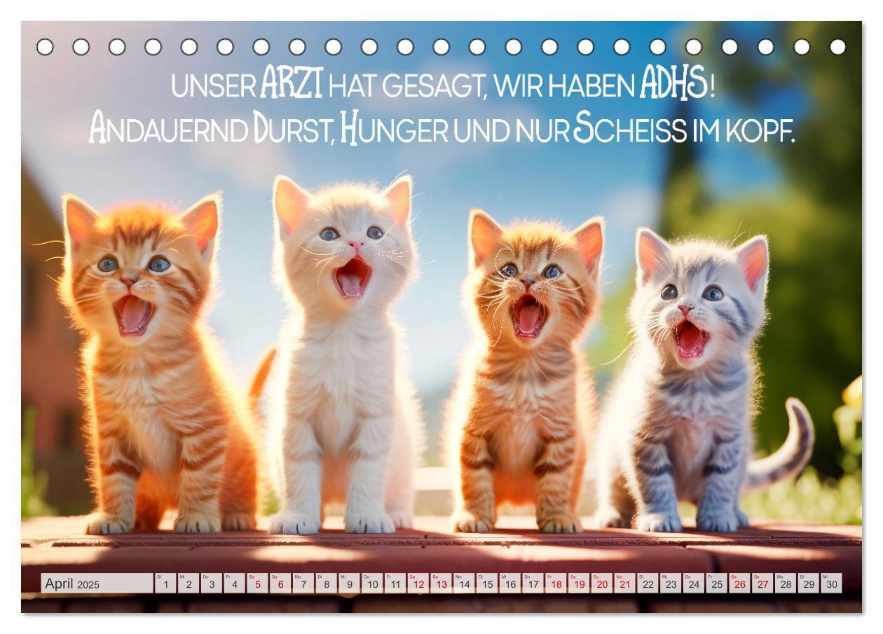 Bild: 9783383773518 | Süße Katzen und coole Sprüche (Tischkalender 2025 DIN A5 quer),...