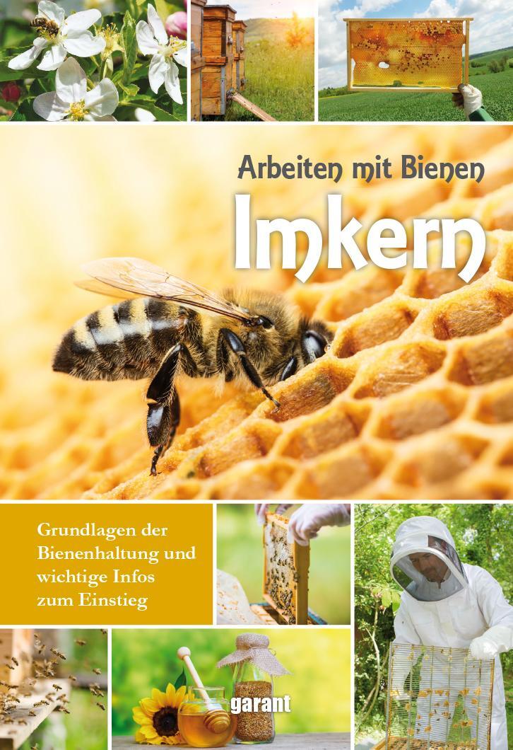 Cover: 9783735913081 | Imkern | Buch | 176 S. | Deutsch | 2017 | Garant Verlag GmbH