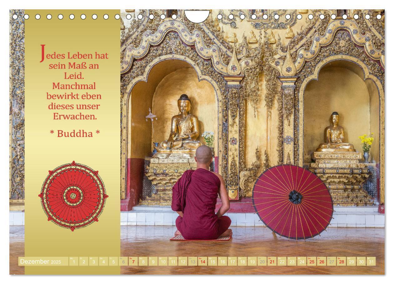 Bild: 9783435081745 | BUDDHAS WORTE - Buddhistische Weisheiten (Wandkalender 2025 DIN A4...