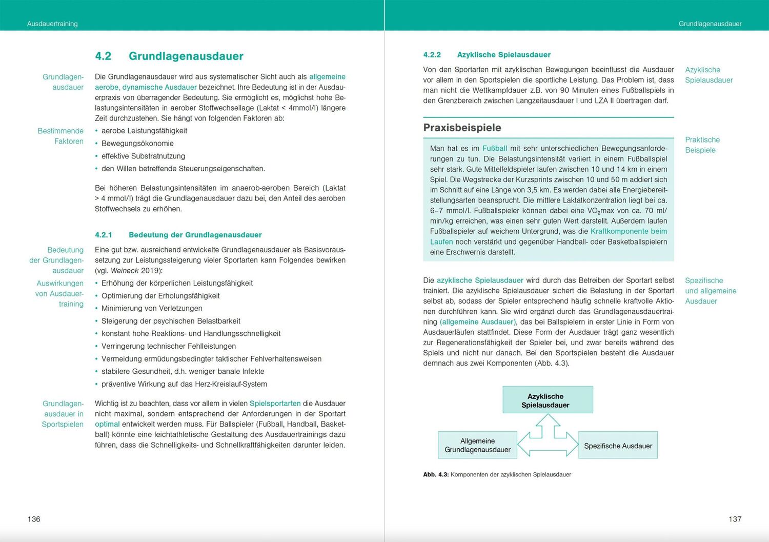 Bild: 9783964160928 | Optimales Sportwissen | Grundlagen der Sporttheorie und Sportpraxis