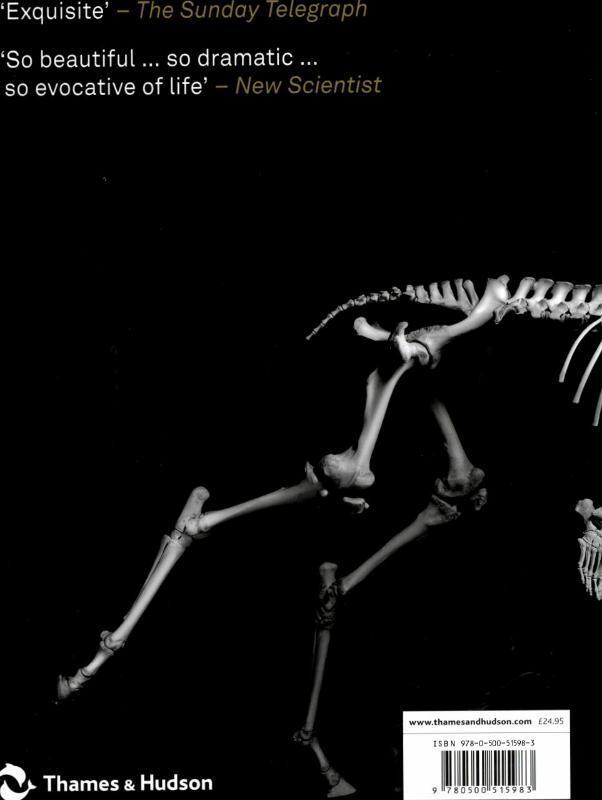 Rückseite: 9780500515983 | Evolution in Action | Natural History through Spectacular Skeletons