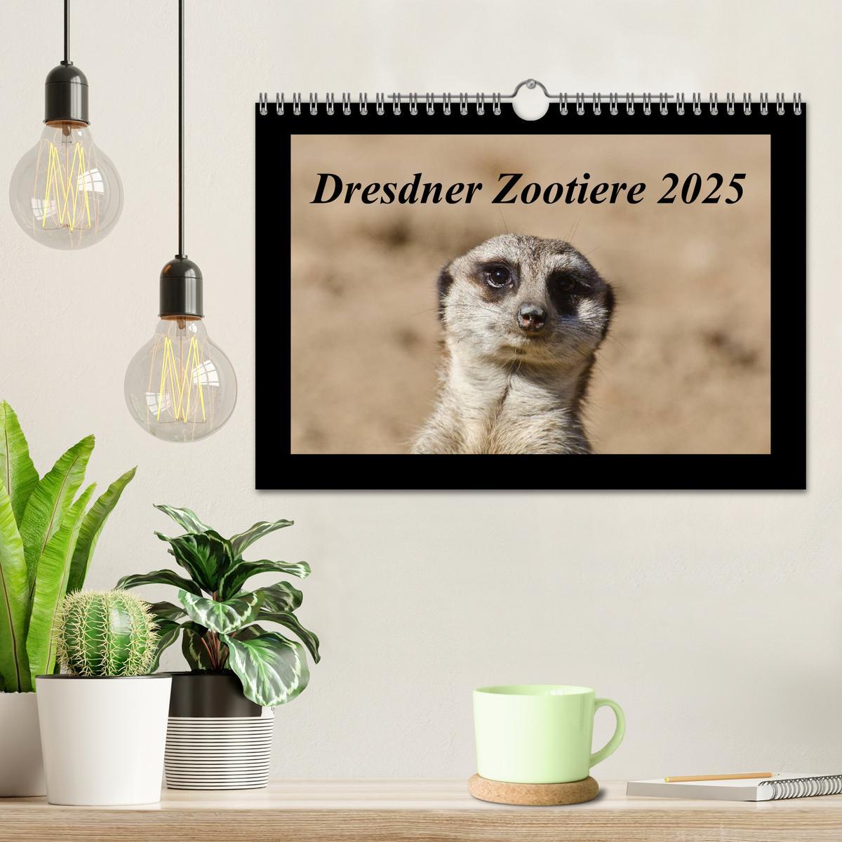 Bild: 9783435666836 | Dresdner Zootiere 2025 (Wandkalender 2025 DIN A4 quer), CALVENDO...