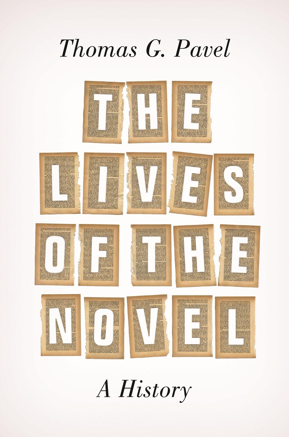 Cover: 9780691165783 | The Lives of the Novel | A History | Thomas G. Pavel | Taschenbuch