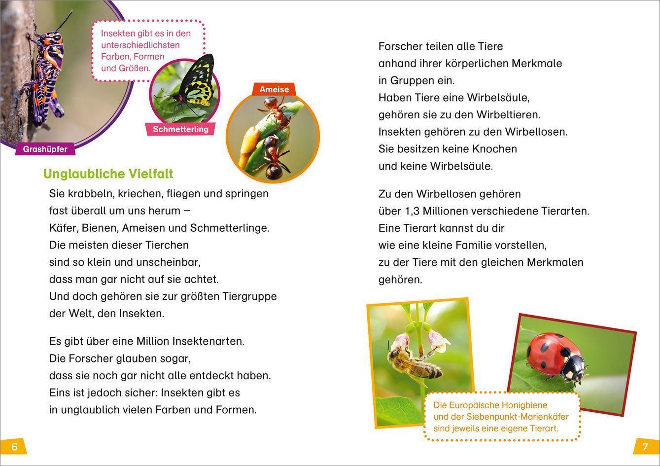 Bild: 9783788676674 | WAS IST WAS Erstes Lesen Band 11. Insekten | Christina Braun | Buch