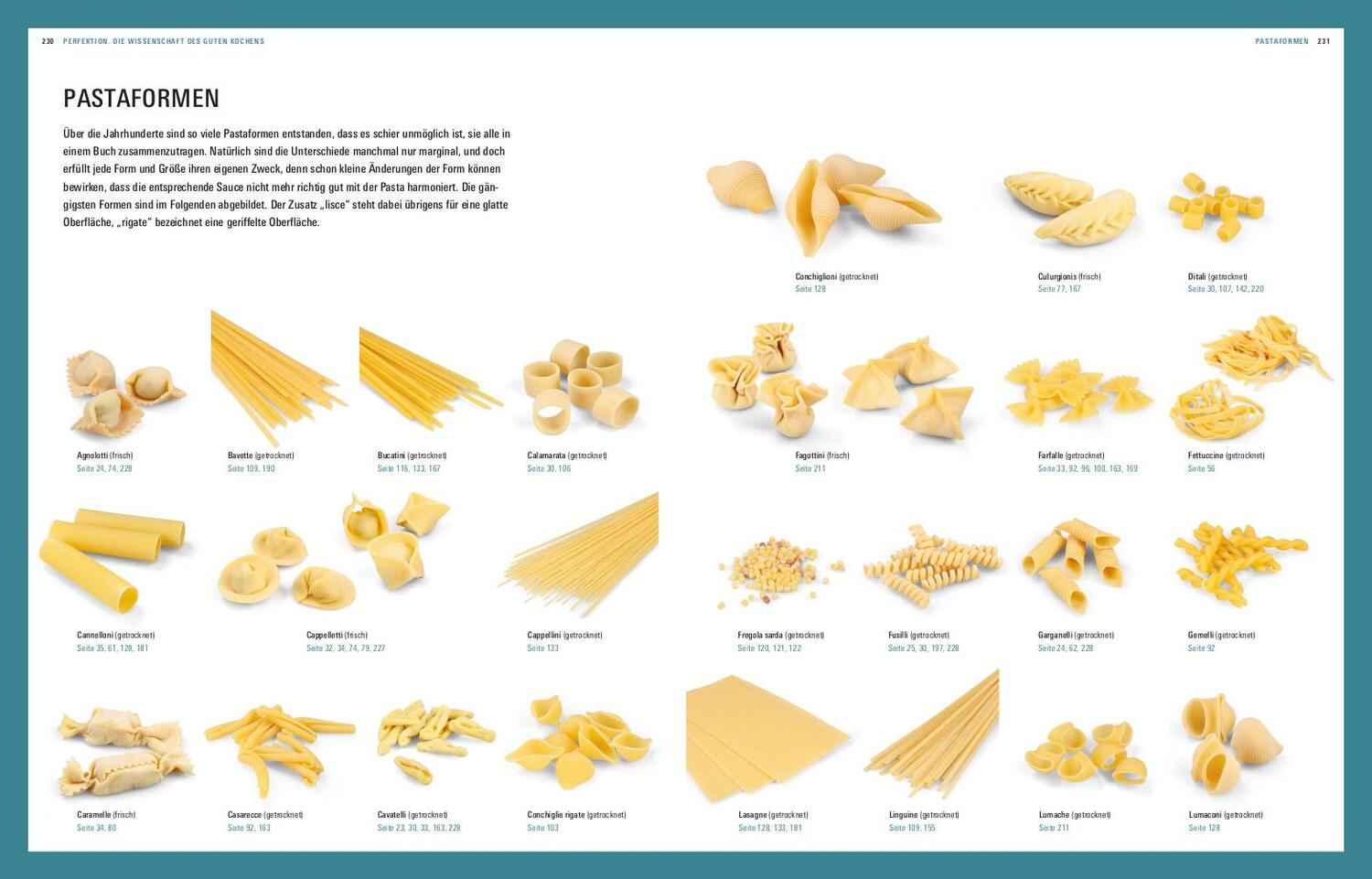 Bild: 9783747101056 | Perfektion Pasta | Die Wissenschaft des guten Kochens | Vilgis (u. a.)