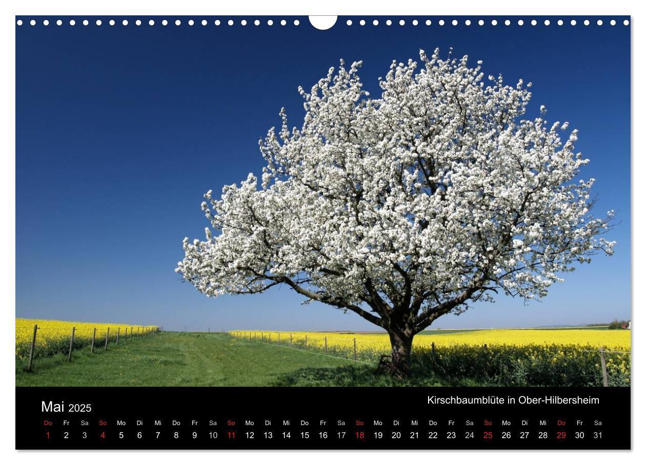 Bild: 9783435503674 | Himmel über Rheinhessen (Wandkalender 2025 DIN A3 quer), CALVENDO...