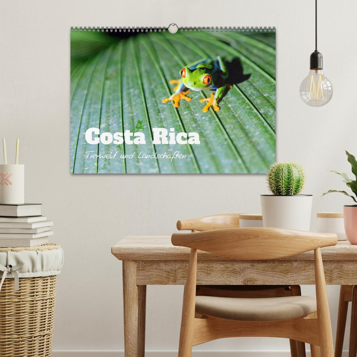 Bild: 9783383949401 | Costa Rica - Tierwelt und Landschaften (Wandkalender 2025 DIN A3...