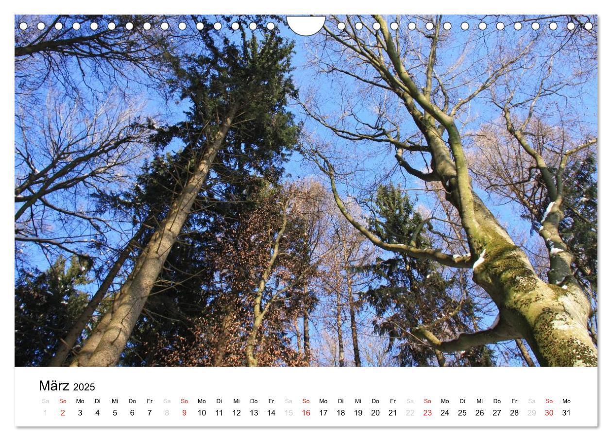 Bild: 9783435602643 | Der Ebersberger Forst und seine Umgebung (Wandkalender 2025 DIN A4...