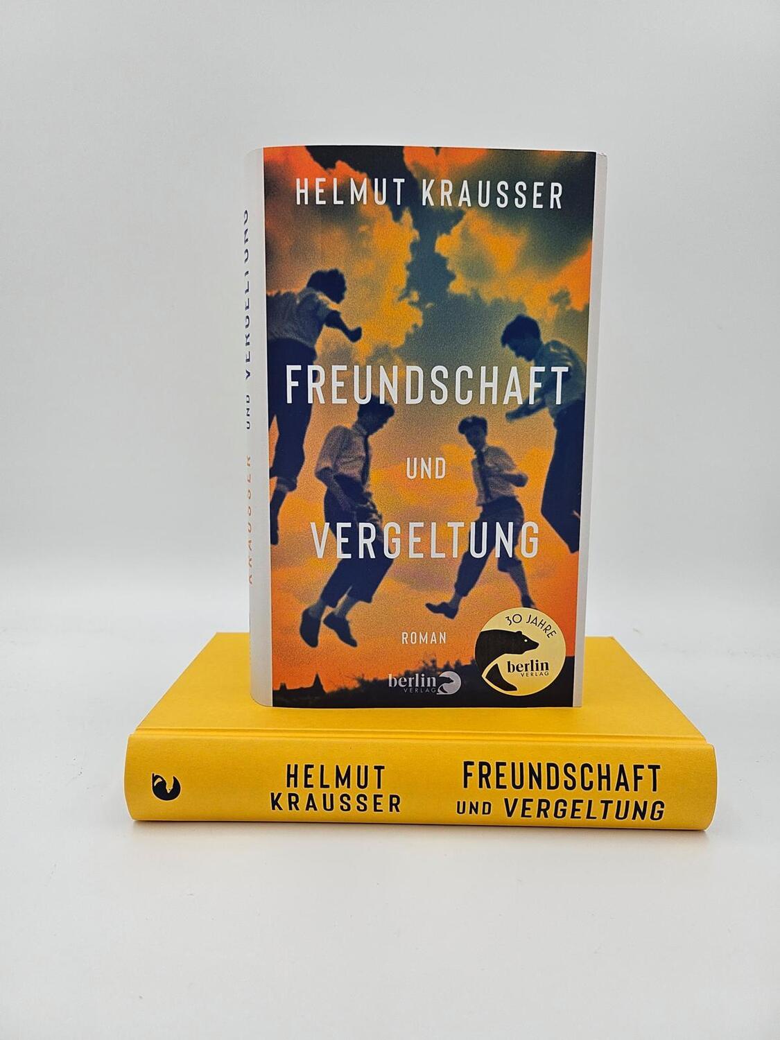 Bild: 9783827014160 | Freundschaft und Vergeltung | Roman | Helmut Krausser | Buch | 352 S.