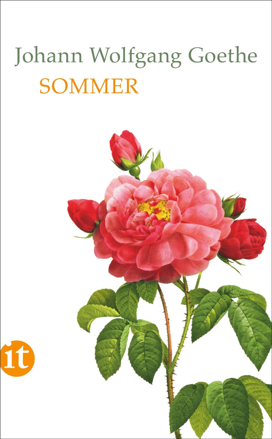 Cover: 9783458363347 | Sommer | Johann Wolfgang Goethe | Taschenbuch | 147 S. | Deutsch