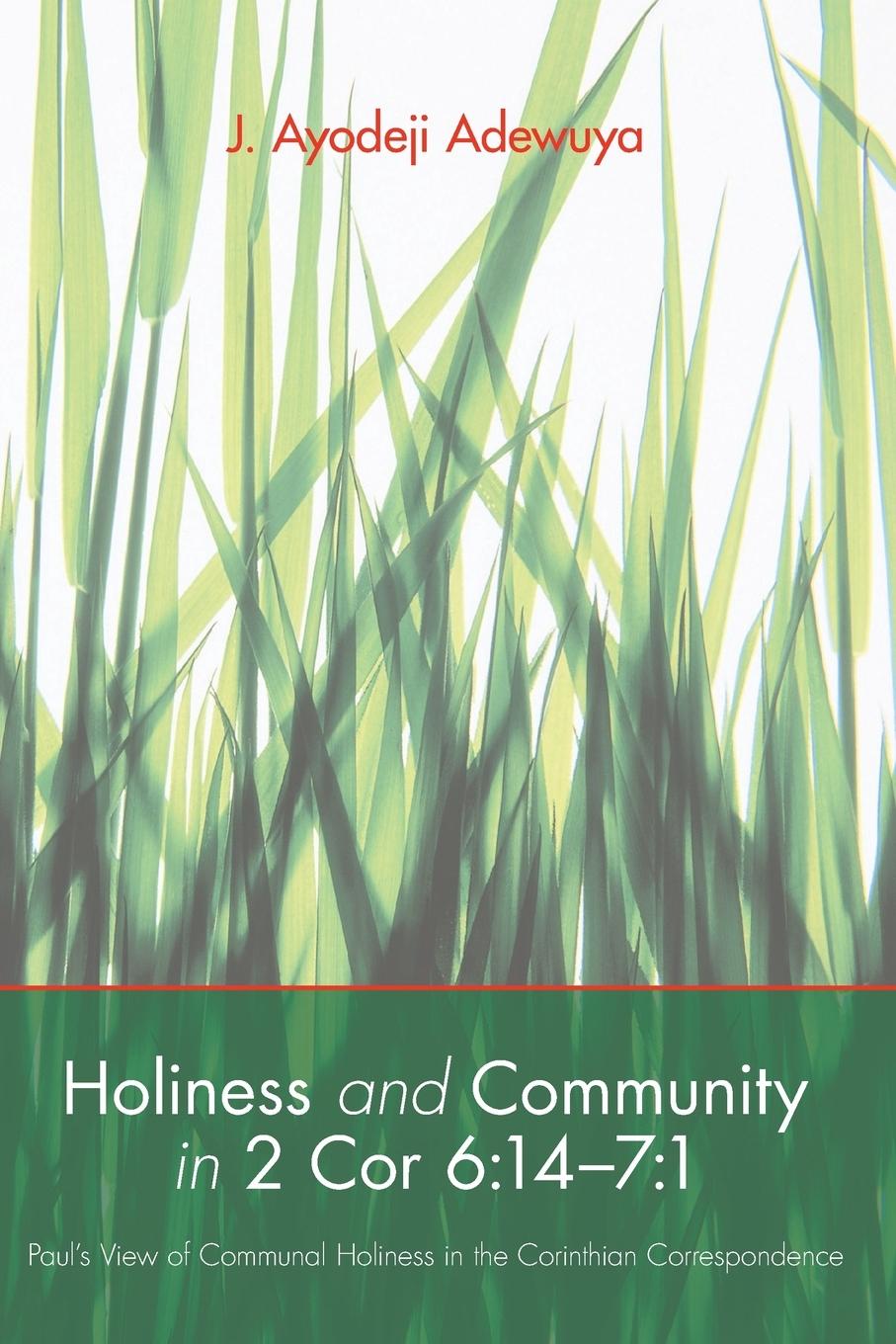 Cover: 9781610971942 | Holiness and Community in 2 Cor 6 | 14-7:1 | J. Ayodeji Adewuya | Buch