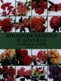 Cover: 9781861267849 | Rhododendrons and Azaleas - A Colour Guide | Kenneth Cox | Buch | 2005