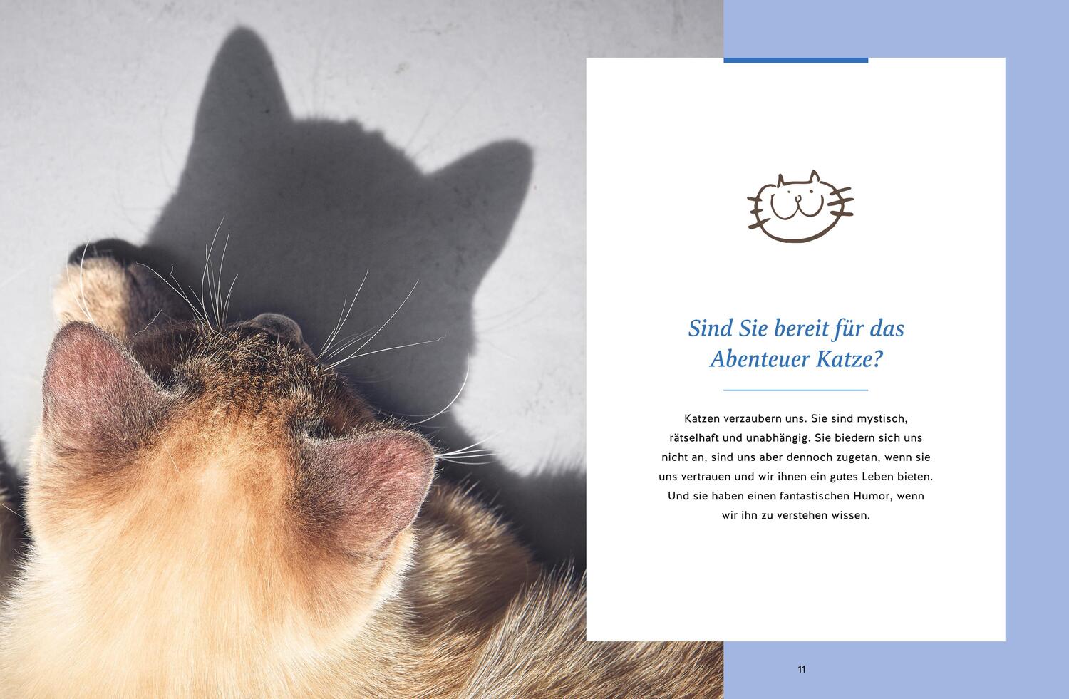 Bild: 9783833889745 | Wie wir Katzen glücklich machen | Carmen Schell | Buch | 256 S. | 2024