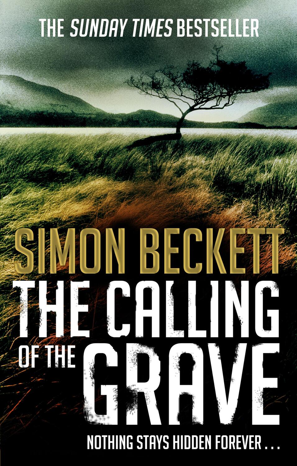 Cover: 9780553820652 | The Calling of the Grave | Simon Beckett | Taschenbuch | David Hunter