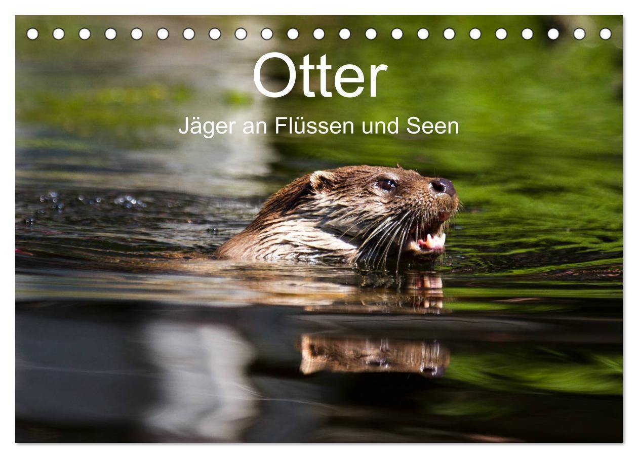 Cover: 9783675688193 | Otter - Jäger an Flüssen und Seen (Tischkalender 2024 DIN A5 quer),...