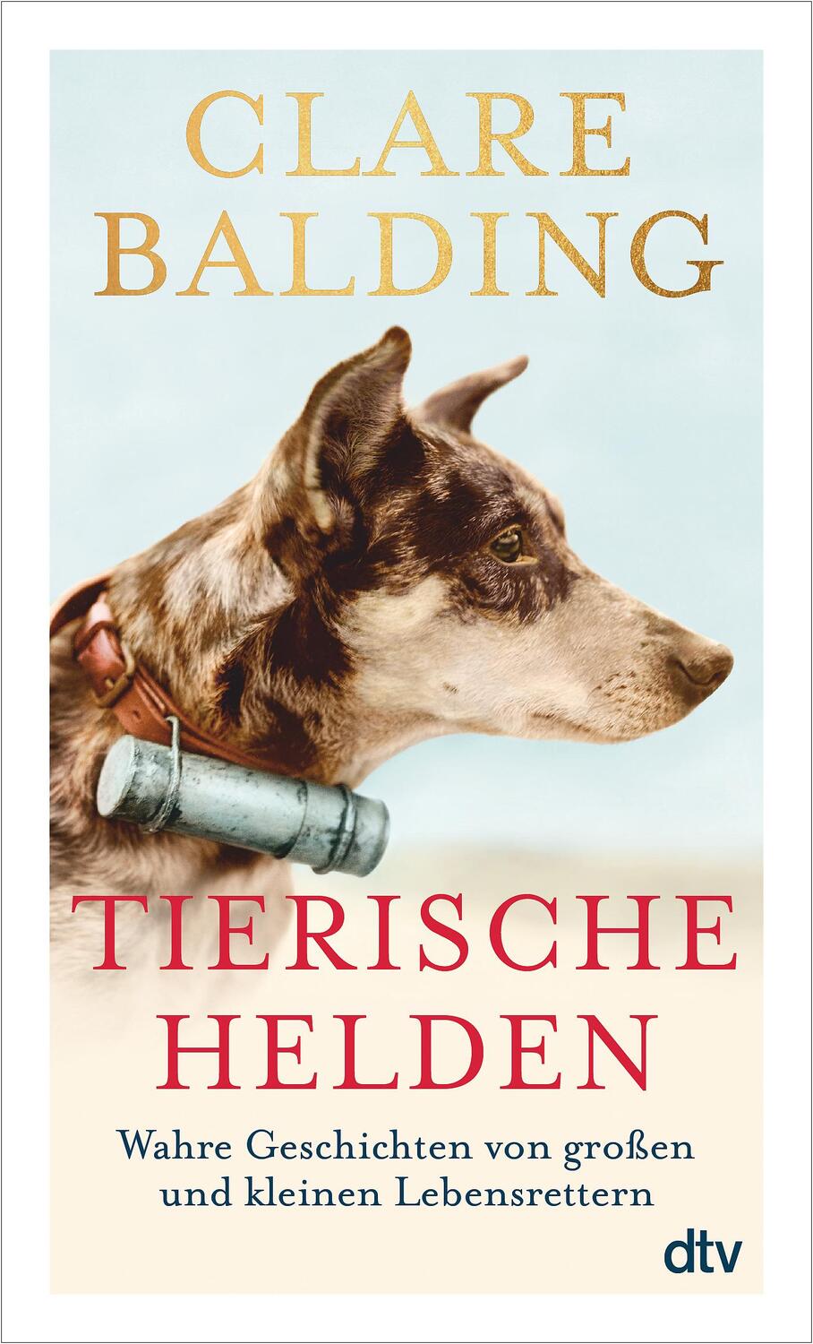 Cover: 9783423350457 | Tierische Helden | Clare Balding | Taschenbuch | Deutsch | 2021