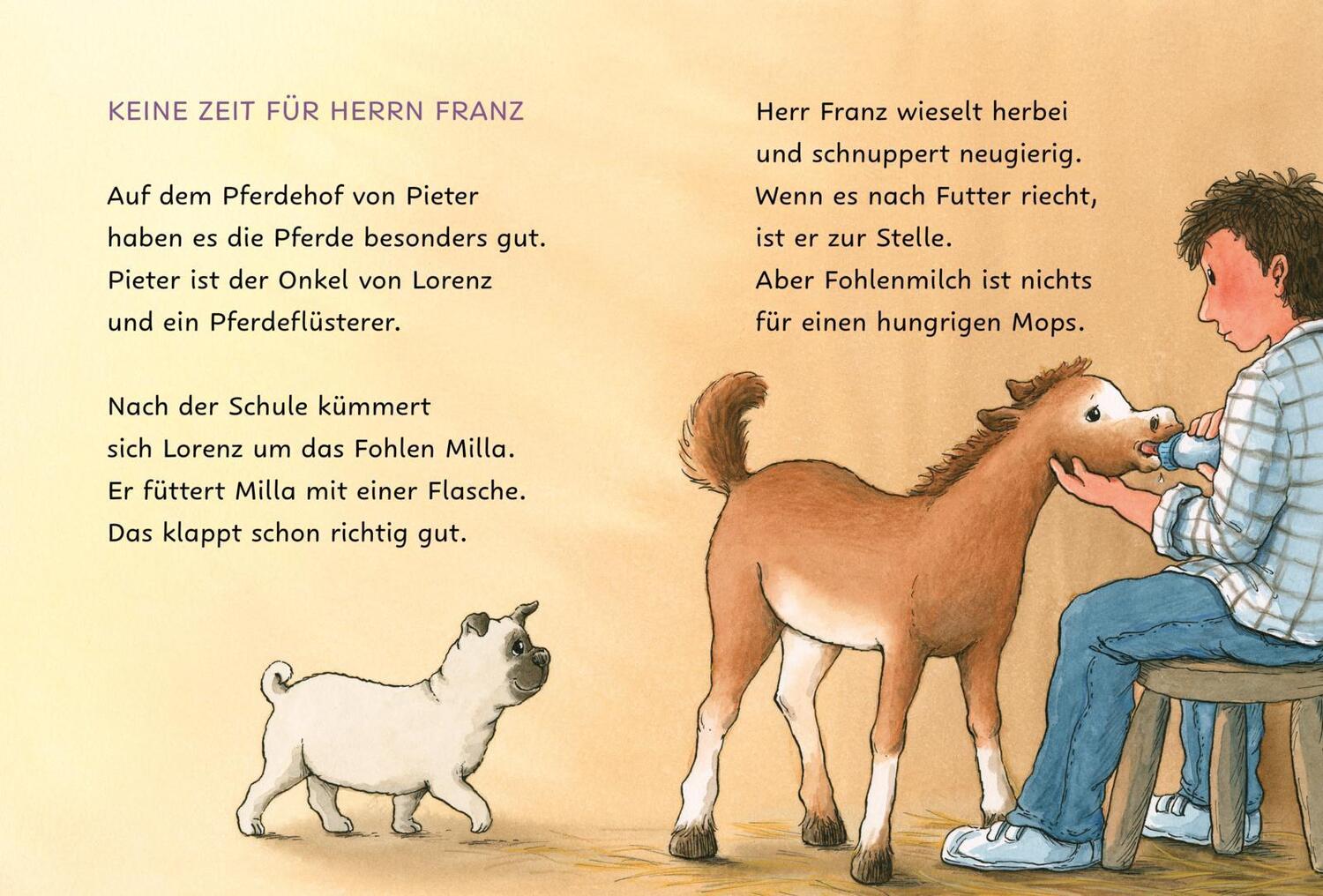 Bild: 9783551690845 | Ponyherz und Herr Franz: Ein Mops zieht aus | Usch Luhn | Buch | 64 S.