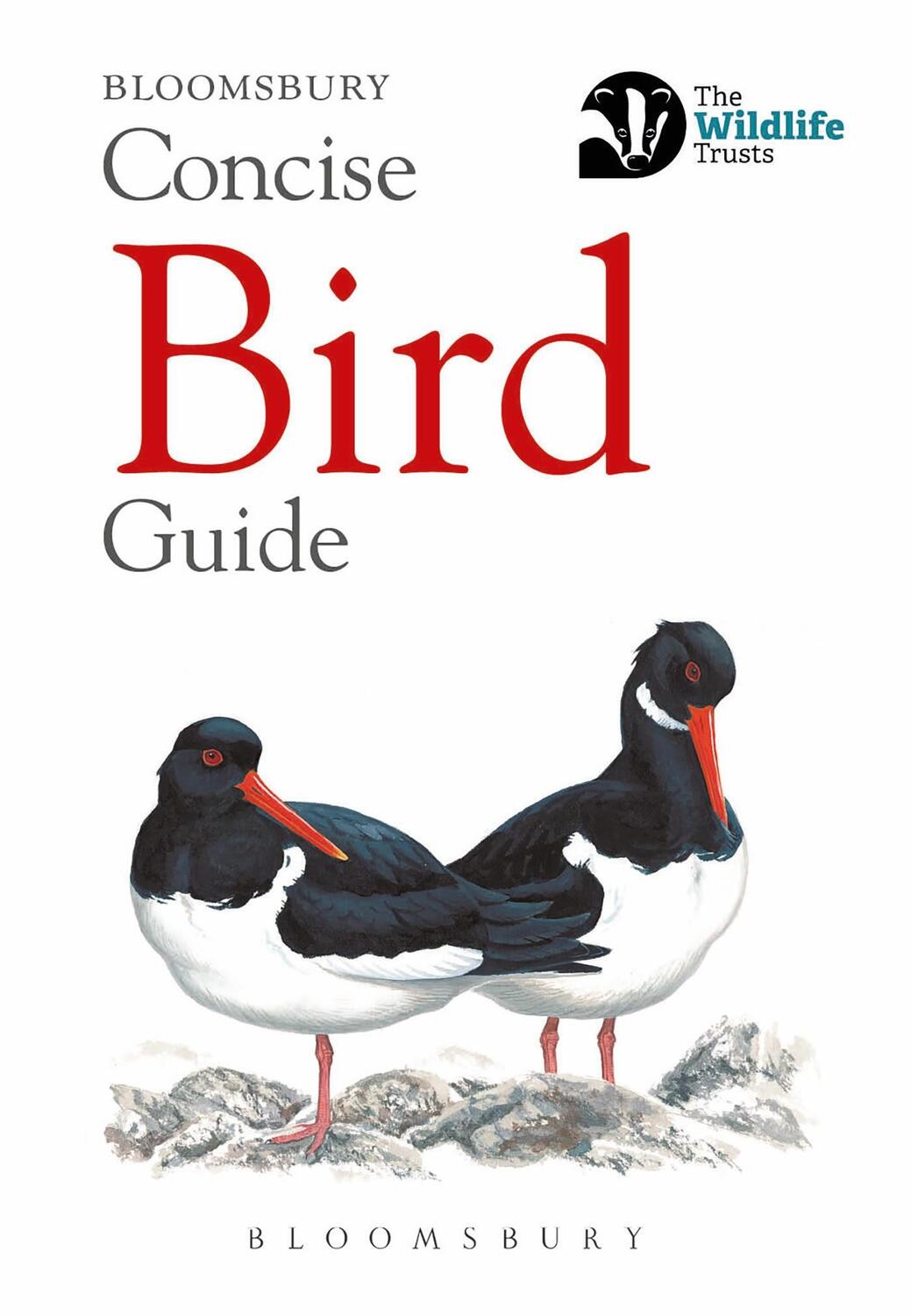 Cover: 9781472963758 | Concise Bird Guide | Bloomsbury | Taschenbuch | Concise Guides | 2018
