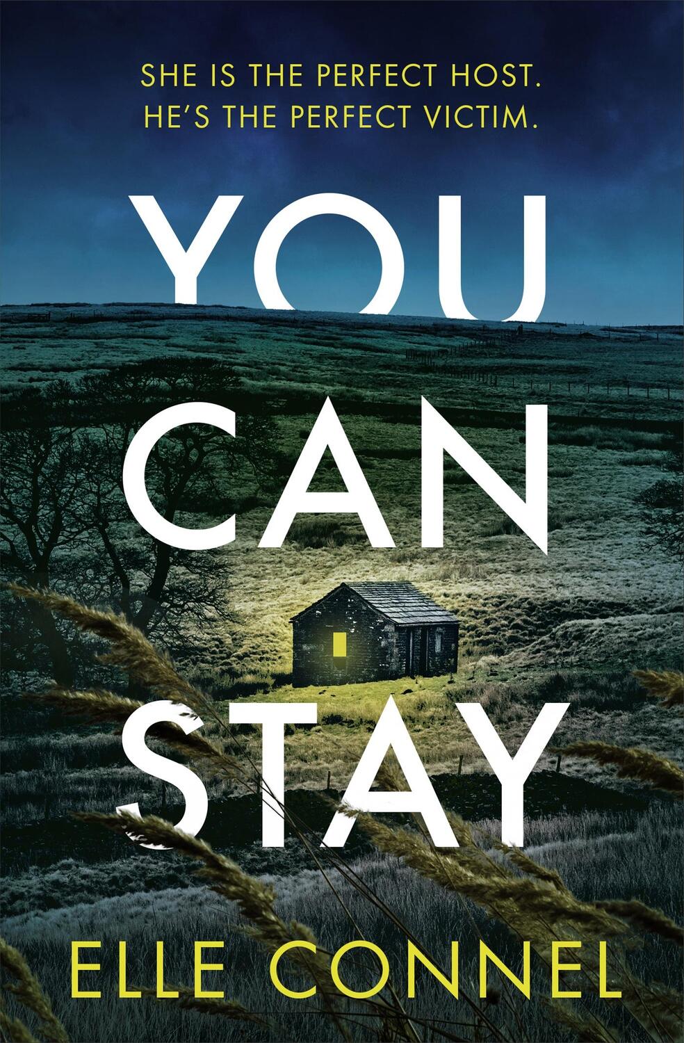 Cover: 9781472290663 | You Can Stay | The chilling, heart-stopping new thriller | Elle Connel