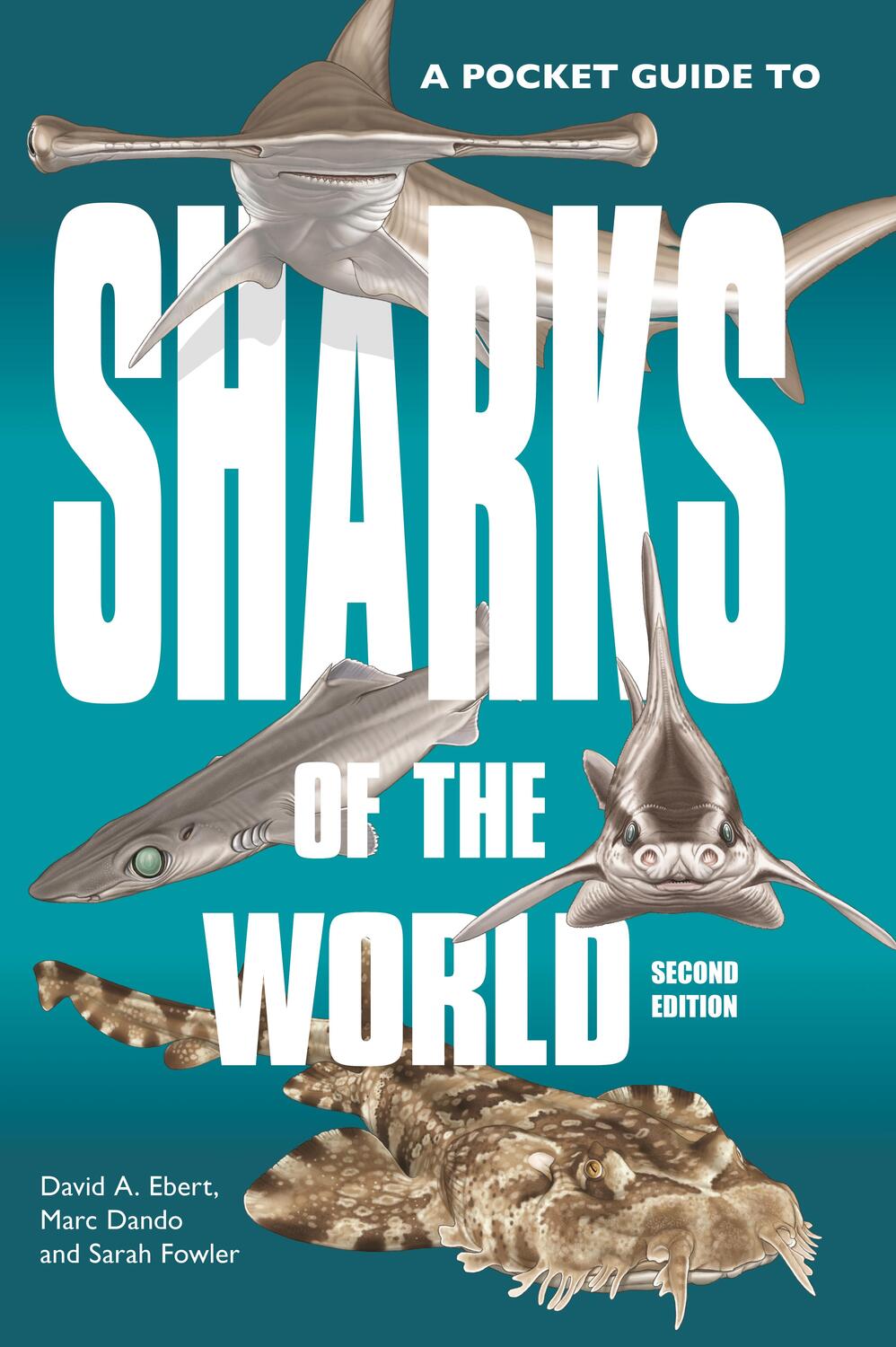 Cover: 9780691218748 | A Pocket Guide to Sharks of the World | Second Edition | Ebert (u. a.)