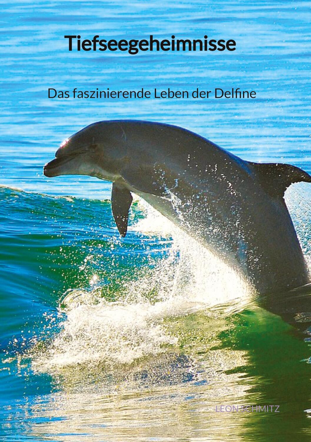 Cover: 9783347889545 | Tiefseegeheimnisse - Das faszinierende Leben der Delfine | Schmitz