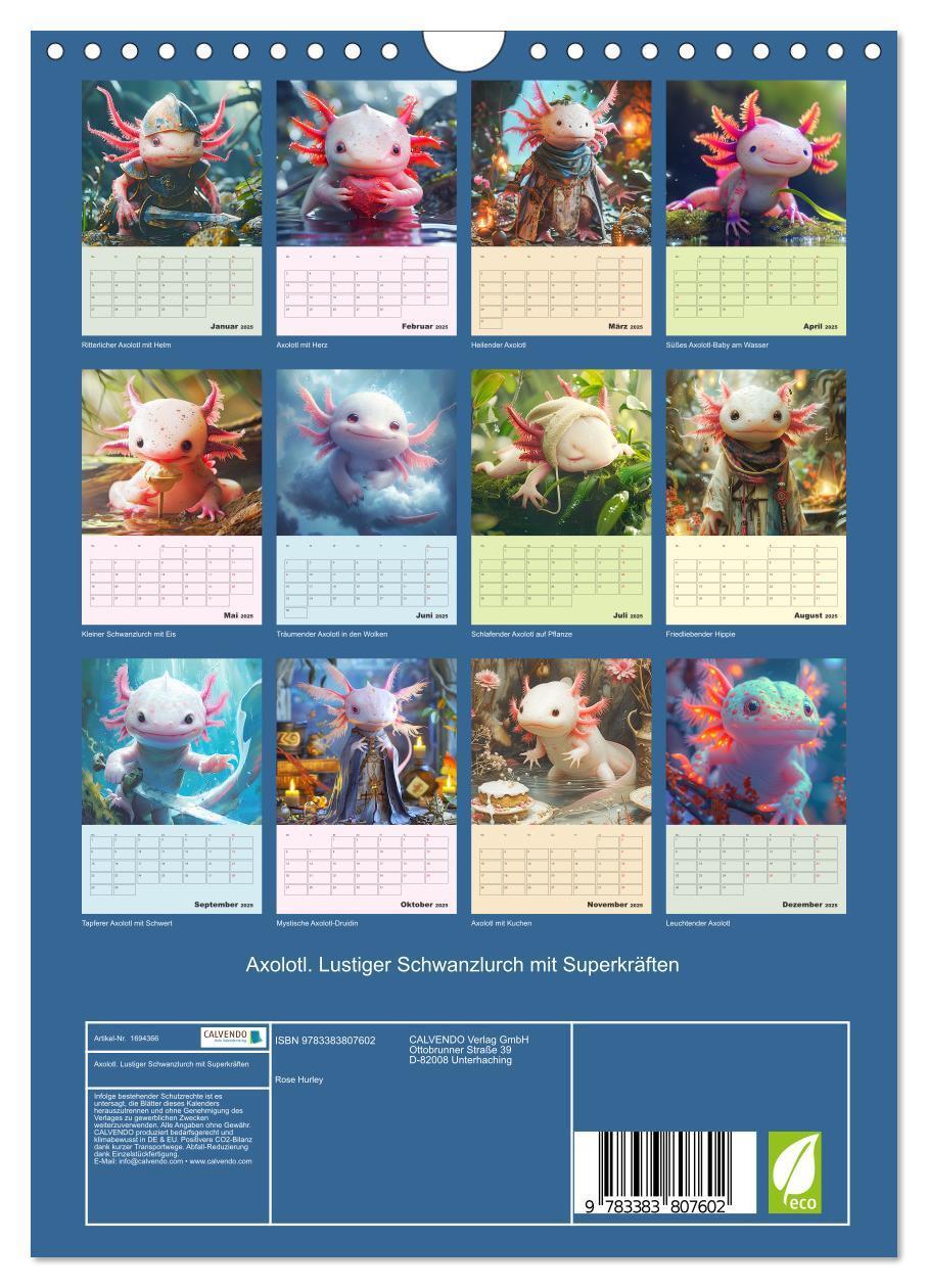 Bild: 9783383807602 | Axolotl. Lustiger Schwanzlurch mit Superkräften (Wandkalender 2025...